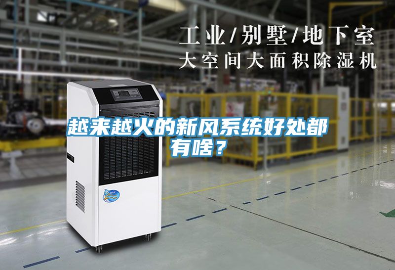亚洲人成综合第一网站 越来越火的新风系统好处都有啥？