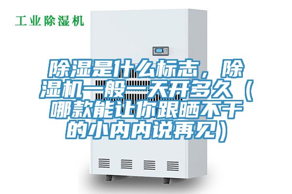除湿是什么标志，除湿机一般一天开多久（哪款能让你跟晒不干的小内内说再见）