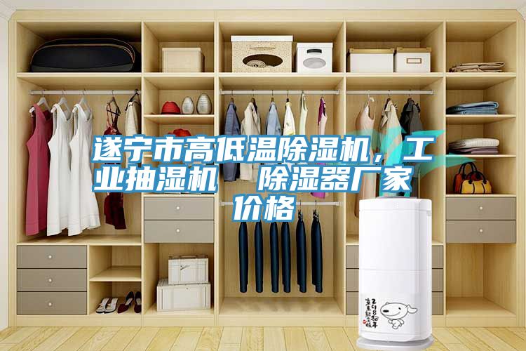 亚洲欧美一级特黄大片 遂宁市高低温除湿机，工业抽湿机  除湿器厂家 价格