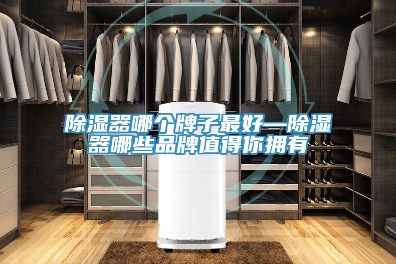 亚洲欧美一级特黄大片 除湿器哪个牌子最好—除湿器哪些品牌值得你拥有