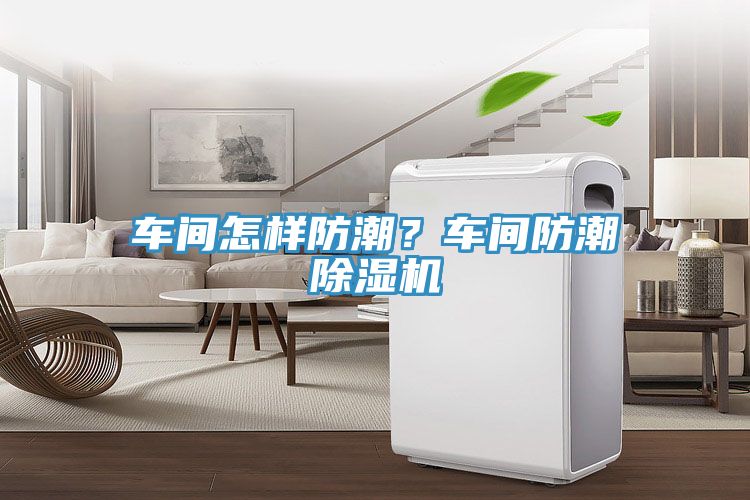 亚洲欧美一级特黄大片 车间怎样防潮？车间防潮除湿机