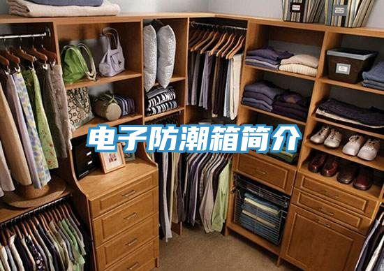 亚洲人成综合第一网站 电子防潮箱简介