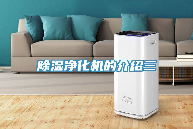 亚洲人成综合第一网站 除湿净化机的介绍三