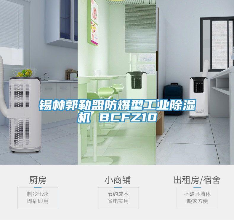 亚洲人成综合第一网站 锡林郭勒盟防爆型工业除湿机 BCFZ10