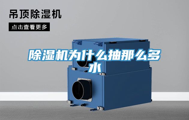 亚洲乱码一区二区三区 除湿机为什么抽那么多水