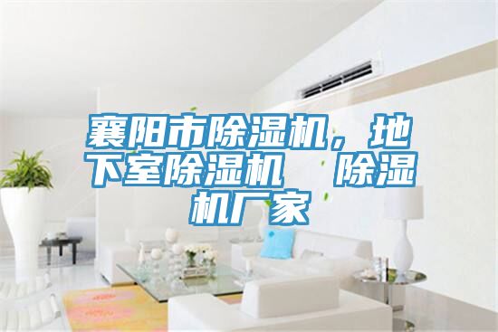 亚洲欧美一级特黄大片 襄阳市除湿机，地下室除湿机  除湿机厂家