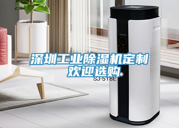 亚洲人成综合第一网站 深圳工业除湿机定制 欢迎选购