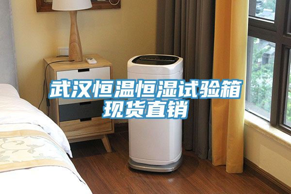 亚洲人成综合第一网站 武汉恒温恒湿试验箱现货直销