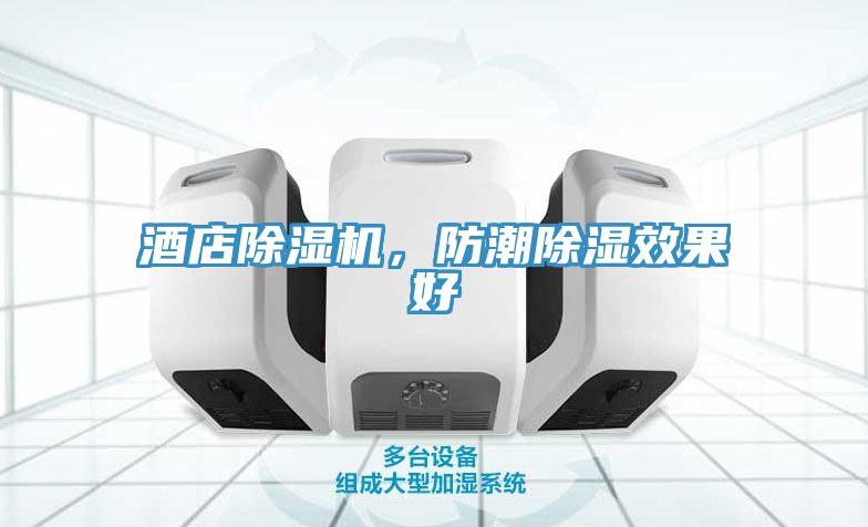 亚洲欧美一级特黄大片 酒店除湿机，防潮除湿效果好