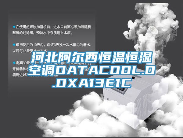 亚洲人成综合第一网站 河北阿尔西恒温恒湿空调DATACOOL.O.DXA13E1C