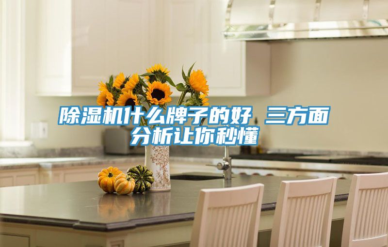 亚洲人成综合第一网站 除湿机什么牌子的好 三方面分析让你秒懂