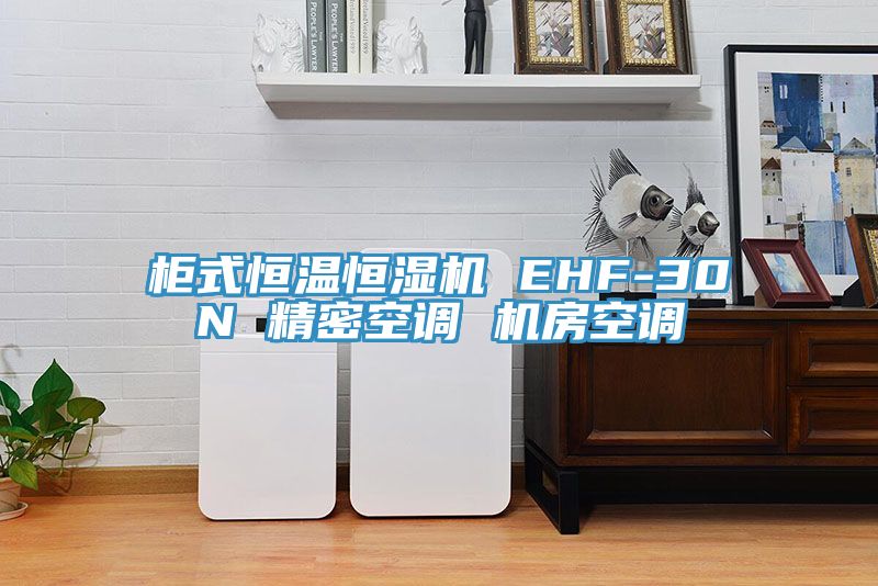 亚洲乱码一区二区三区 柜式恒温恒湿机 EHF-30N 精密空调 机房空调