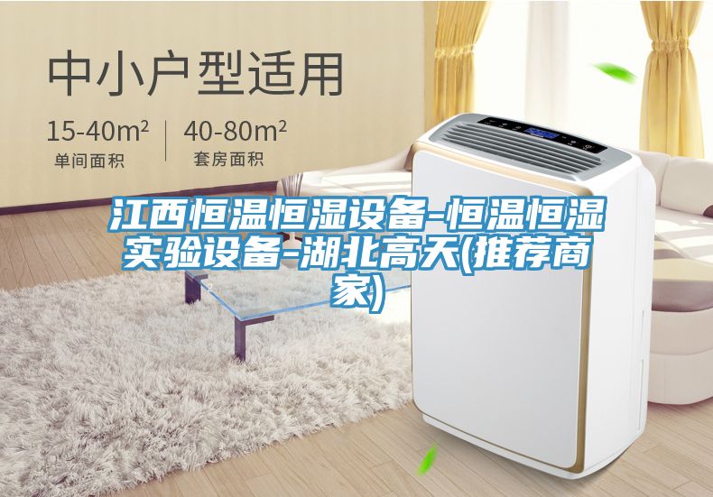 亚洲人成综合第一网站 江西恒温恒湿设备-恒温恒湿实验设备-湖北高天(推荐商家)