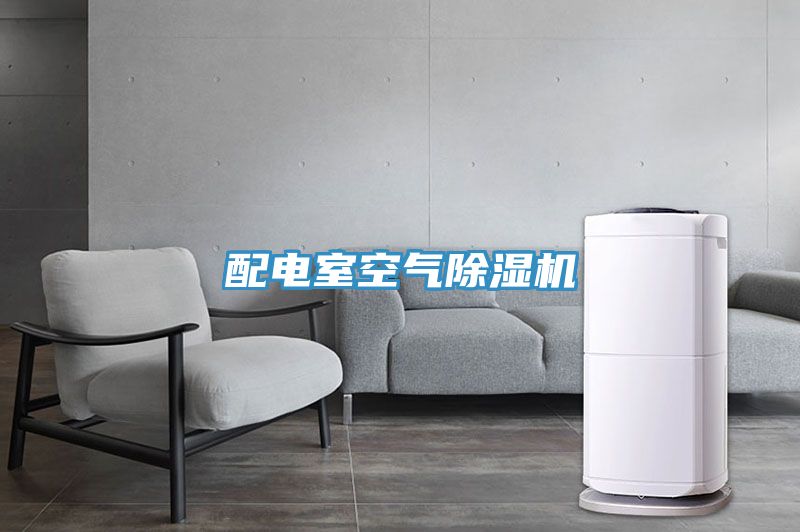 亚洲人成综合第一网站 配电室空气除湿机