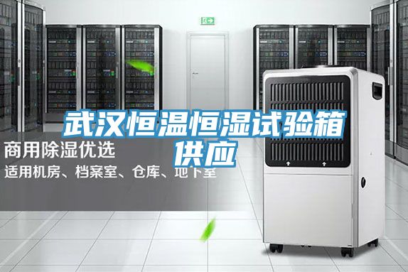 亚洲欧美一级特黄大片 武汉恒温恒湿试验箱供应