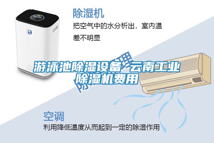 亚洲人成综合第一网站 游泳池除湿设备 云南工业除湿机费用
