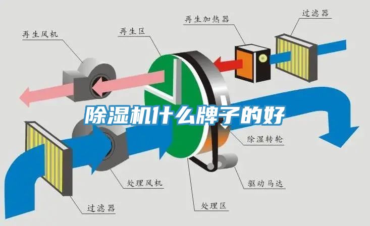 亚洲人成综合第一网站 除湿机什么牌子的好