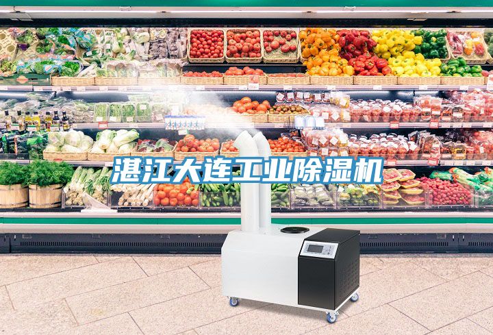 亚洲欧美一级特黄大片 湛江大连工业除湿机