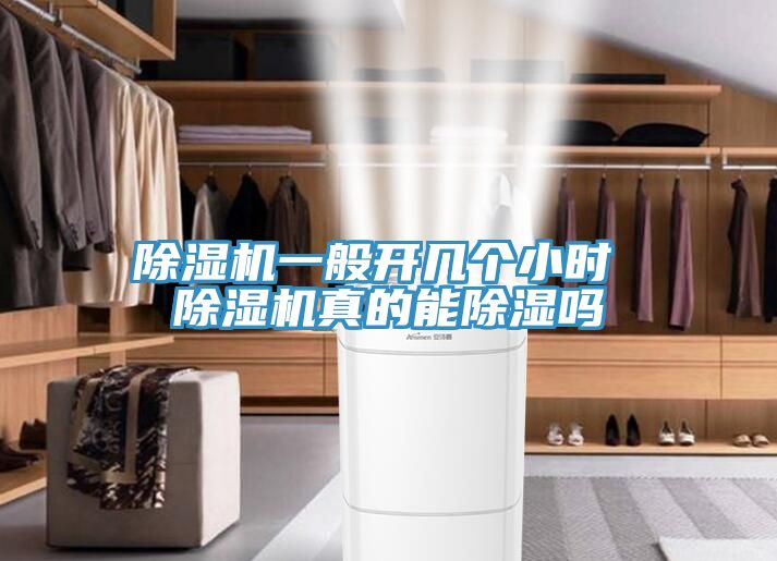 亚洲欧美一级特黄大片 除湿机一般开几个小时 除湿机真的能除湿吗