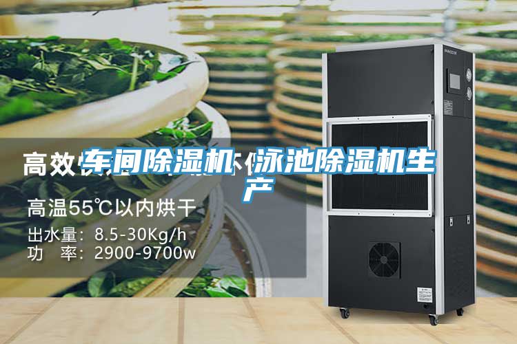 亚洲人成综合第一网站 车间除湿机 泳池除湿机生产