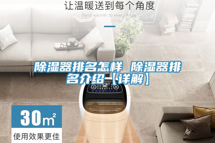 亚洲人成综合第一网站 除湿器排名怎样 除湿器排名介绍【详解】