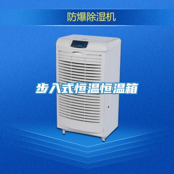 亚洲人成综合第一网站 步入式恒温恒温箱