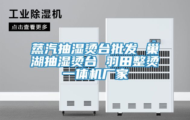 亚洲乱码一区二区三区 蒸汽抽湿烫台批发 巢湖抽湿烫台 羽田整烫一体机厂家