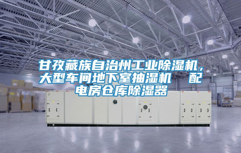 甘孜藏族自治州工业除湿机，大型车间地下室抽湿机  配电房仓库除湿器
