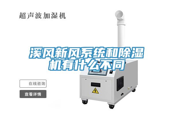 亚洲人成综合第一网站 溪风新风系统和除湿机有什么不同