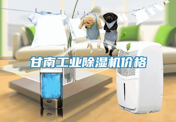 亚洲人成综合第一网站 甘南工业除湿机价格
