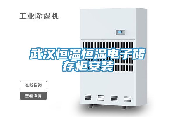 亚洲乱码一区二区三区 武汉恒温恒湿电子储存柜安装