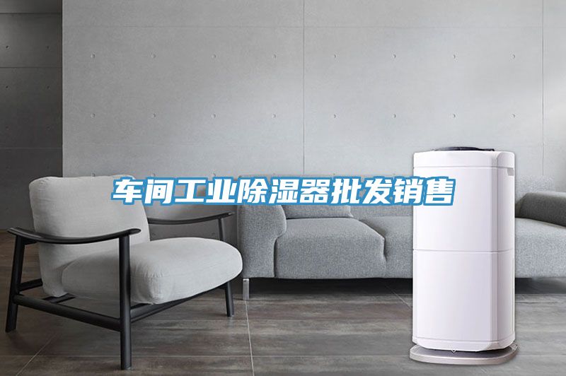 亚洲人成综合第一网站 车间工业除湿器批发销售