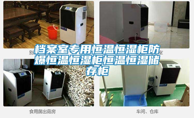 亚洲人成综合第一网站 档案室专用恒温恒湿柜防爆恒温恒湿柜恒温恒湿储存柜