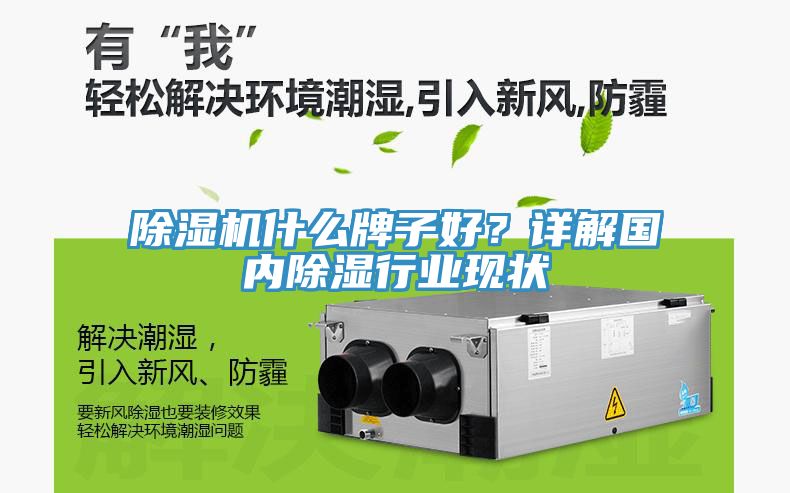 亚洲人成综合第一网站 除湿机什么牌子好？详解国内除湿行业现状