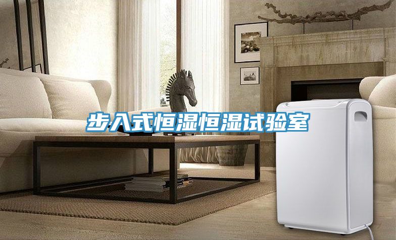 亚洲人成综合第一网站 步入式恒湿恒湿试验室