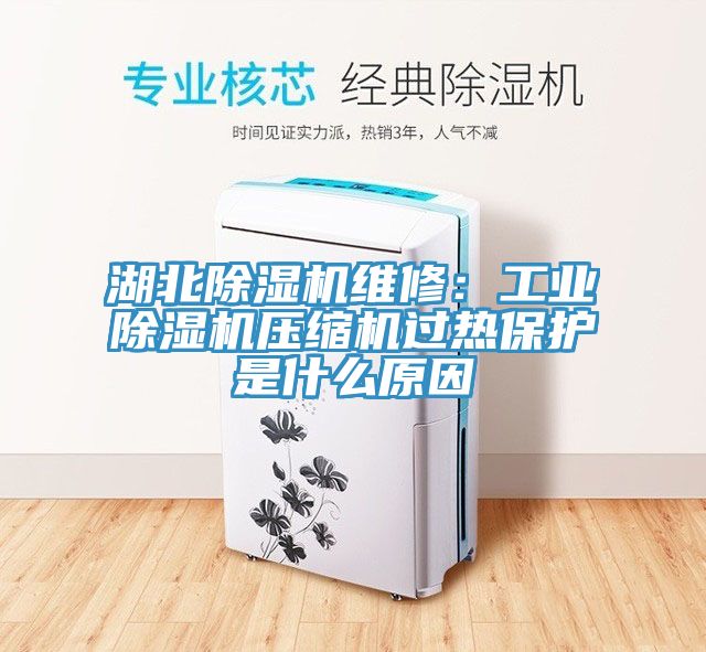 亚洲乱码一区二区三区 湖北除湿机维修：工业除湿机压缩机过热保护是什么原因
