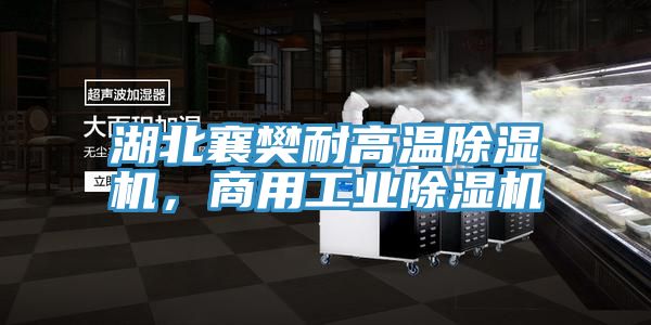 亚洲乱码一区二区三区 湖北襄樊耐高温除湿机，商用工业除湿机