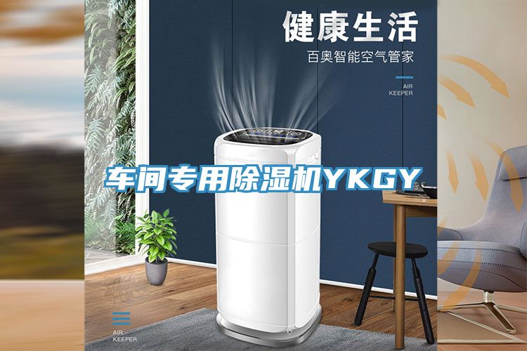 亚洲人成综合第一网站 车间专用除湿机YKGY