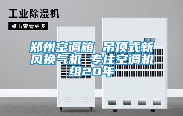 亚洲欧美一级特黄大片 郑州空调箱 吊顶式新风换气机 专注空调机组20年