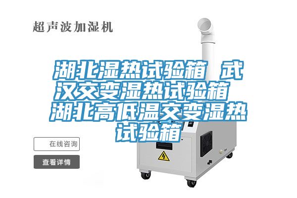 亚洲欧美一级特黄大片 湖北湿热试验箱 武汉交变湿热试验箱 湖北高低温交变湿热试验箱
