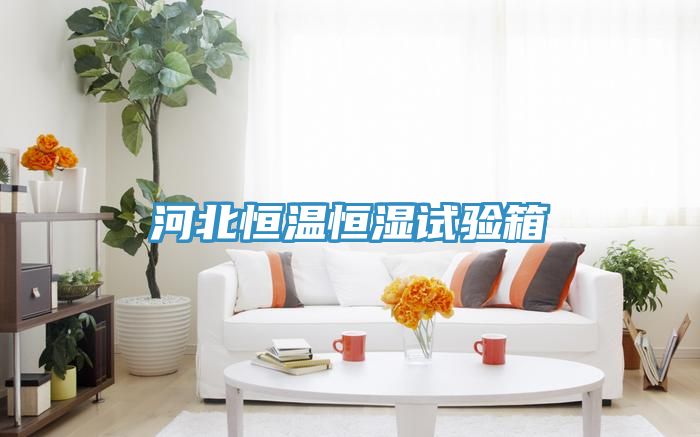 亚洲欧美一级特黄大片 河北恒温恒湿试验箱