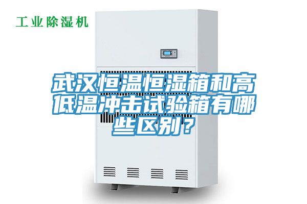 亚洲乱码一区二区三区 武汉恒温恒湿箱和高低温冲击试验箱有哪些区别？