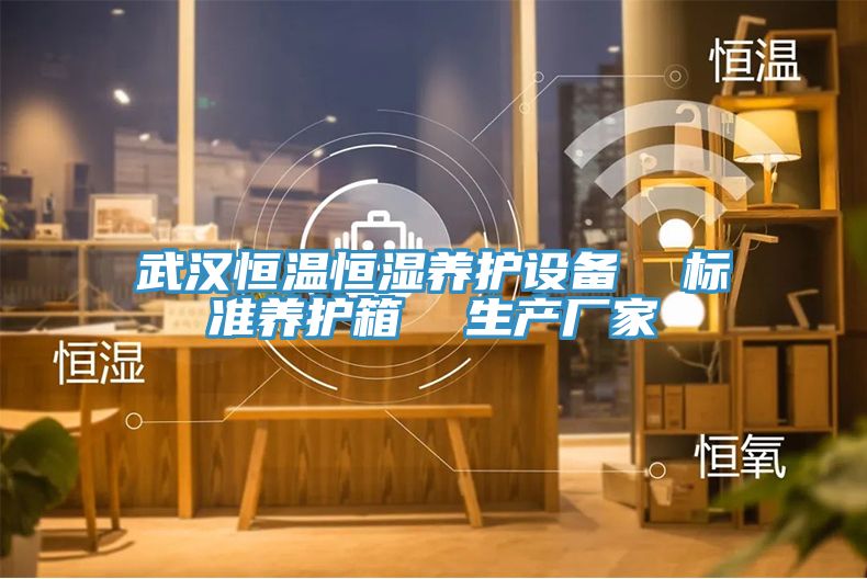 亚洲乱码一区二区三区 武汉恒温恒湿养护设备  标准养护箱  生产厂家