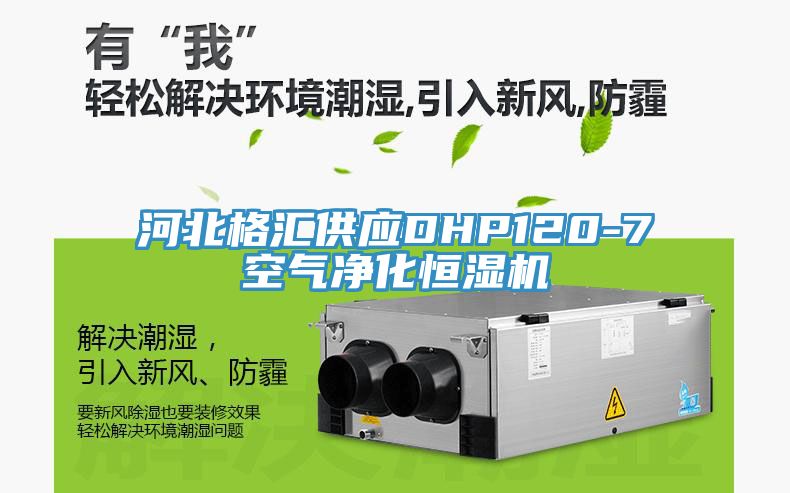 亚洲欧美一级特黄大片 河北格汇供应DHP120-7空气净化恒湿机