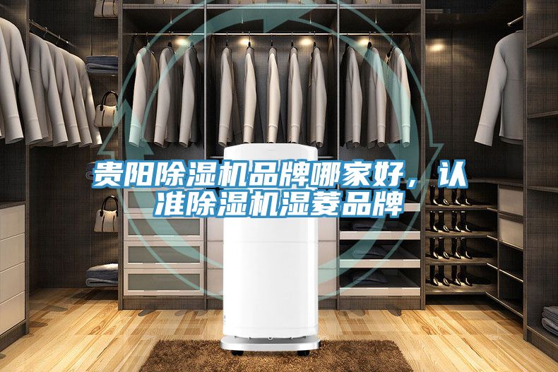 亚洲人成综合第一网站 贵阳除湿机品牌哪家好，认准除湿机湿菱品牌