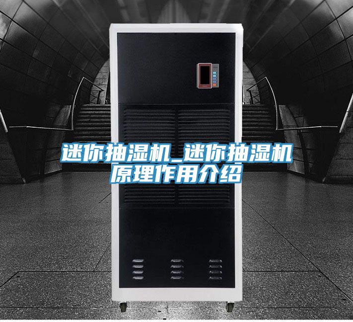 亚洲人成综合第一网站 迷你抽湿机_迷你抽湿机原理作用介绍