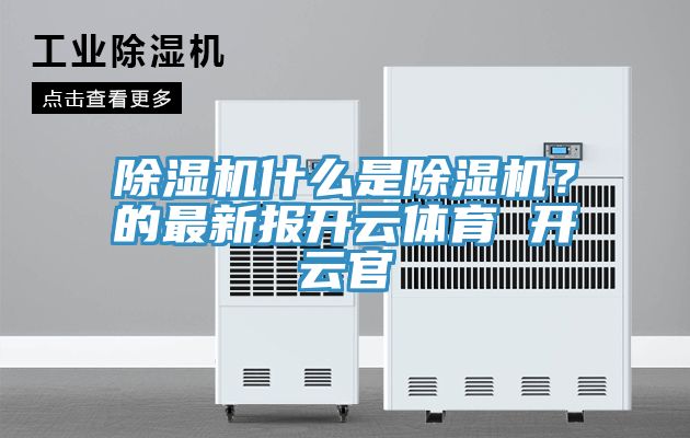亚洲欧美一级特黄大片 除湿机什么是除湿机？的最新报开云体育 开云官