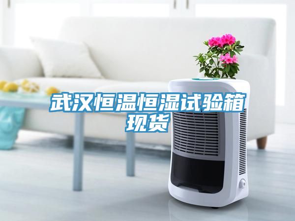 亚洲乱码一区二区三区 武汉恒温恒湿试验箱现货