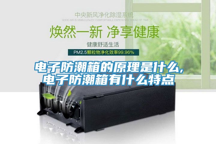 亚洲人成综合第一网站 电子防潮箱的原理是什么,电子防潮箱有什么特点