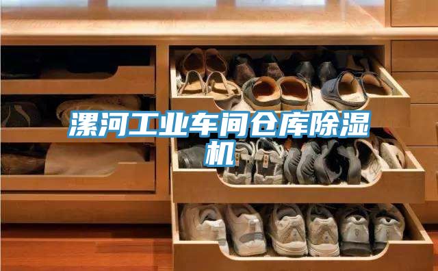 亚洲人成综合第一网站 漯河工业车间仓库除湿机